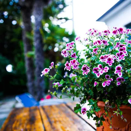 公寓 Casa Campli 奥托纳