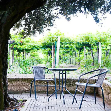 Casa Campli דירה אורטונה